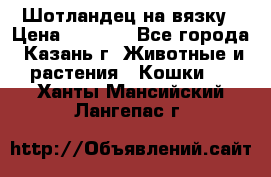 Шотландец на вязку › Цена ­ 1 000 - Все города, Казань г. Животные и растения » Кошки   . Ханты-Мансийский,Лангепас г.